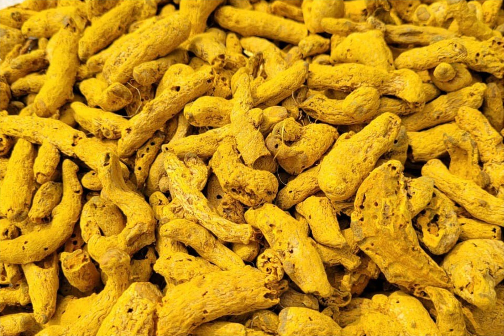 Turmeric